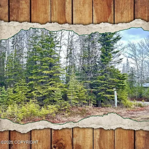 33355 Green Ln, Soldotna, AK 99669