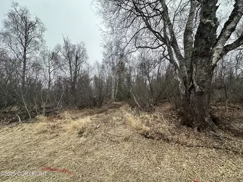 L2 B1 Asa Hills, Wasilla, AK 99654