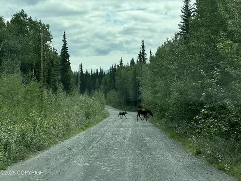 lot25 Wrangell Dr, Copper Center, AK 99573