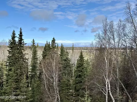 25006 Silver Fox Dr, Kasilof, AK 99610