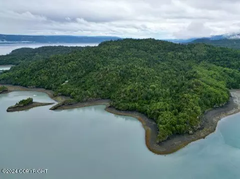 L2c Bear Cove, Homer, AK 99603