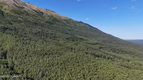 30 Unknown St, Eagle River, AK 99577 photo 11