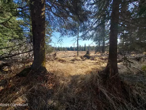 24740 Plumb Ln, Anchor Point, AK 99556