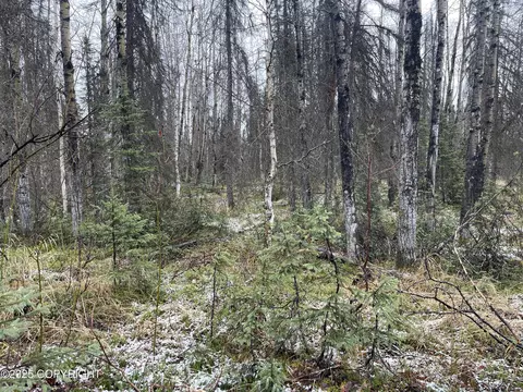 19772 E Montana Creek Rd, Talkeetna, AK 99676