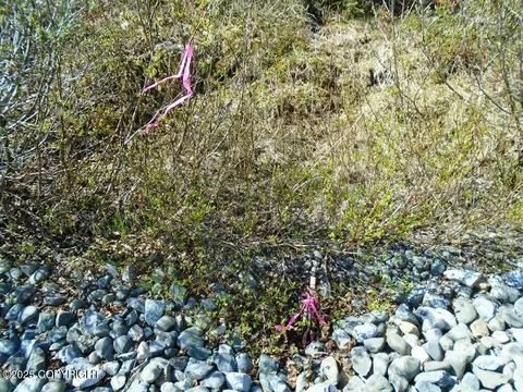 L1 West River Drive, Eagle River, AK 99577 photo 4