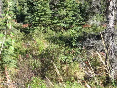 L7 River Circle, Eagle River, AK 99577 photo 2