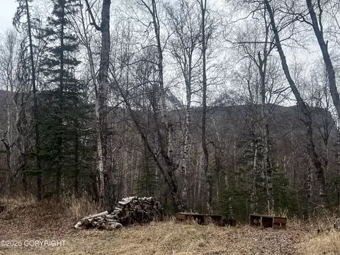17738 E Miners Ave, Sutton, AK 99674