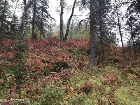 17738 E Miners Ave, Sutton, AK 99674 photo 1