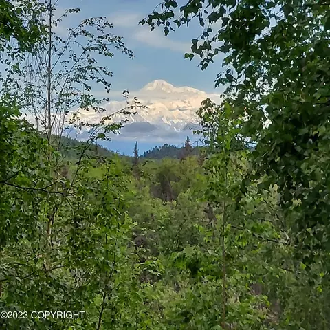 20499 E Rampart Loop, Talkeetna, AK 99676