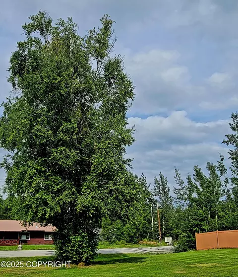 981 E Susitna Dr, Wasilla, AK 99654