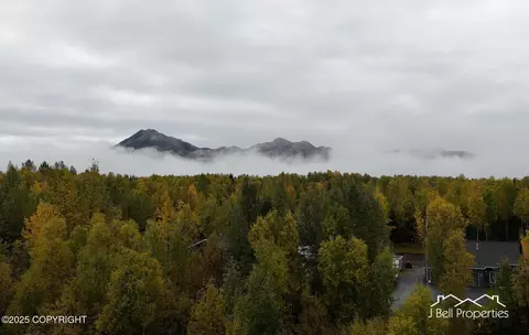 View/Area - 21503 Alderleaf Ct, Chugiak, AK 99567 photo 4 of 9
