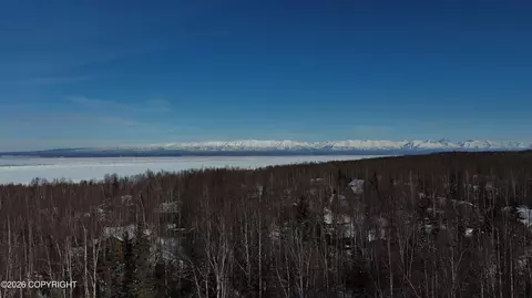 View/Area - 21503 Alderleaf Ct, Chugiak, AK 99567 photo 9 of 9