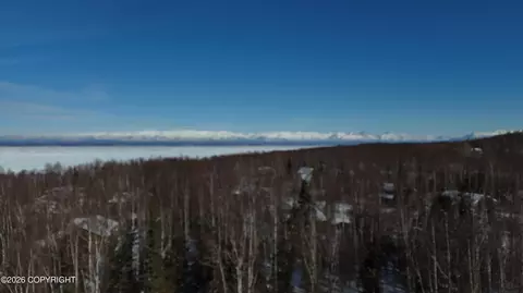 View/Area - 21503 Alderleaf Ct, Chugiak, AK 99567 photo 5 of 9
