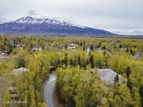 View/Area - 17816 Tedrow Dr, Eagle River, AK 99577 photo 3 of 9