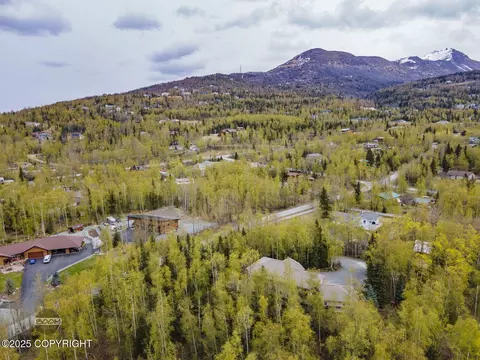 View/Area - 17816 Tedrow Dr, Eagle River, AK 99577 photo 8 of 9