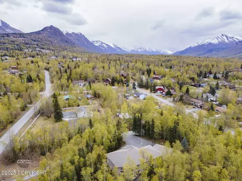 View/Area - 17816 Tedrow Dr, Eagle River, AK 99577 photo 6 of 9
