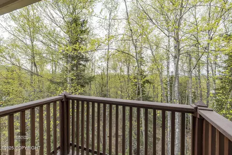 Other - 17816 Tedrow Dr, Eagle River, AK 99577 photo 29 of 31
