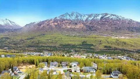 View/Area - 19705 Samalga Cir, Eagle River, AK 99577 photo 5 of 5