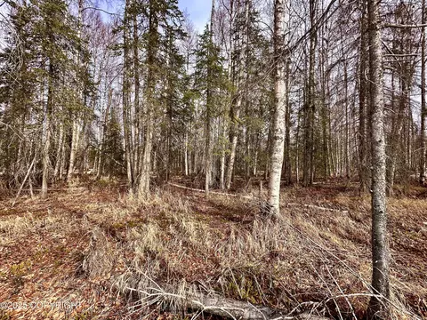 56348 S View Point Dr, Willow, AK 99688 photo 21