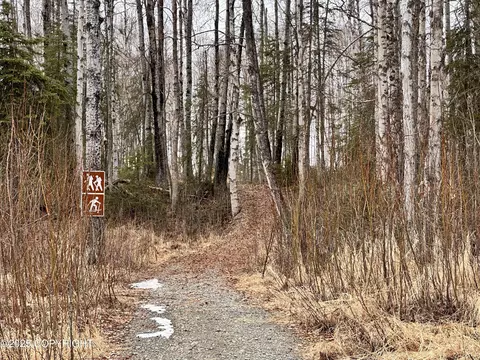 56348 S View Point Dr, Willow, AK 99688 photo 29