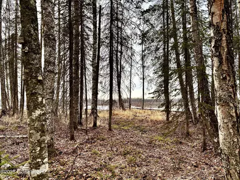 56348 S View Point Dr, Willow, AK 99688 photo 19