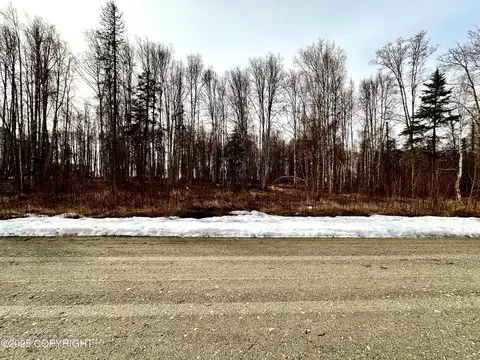 56348 S View Point Dr, Willow, AK 99688 photo 25