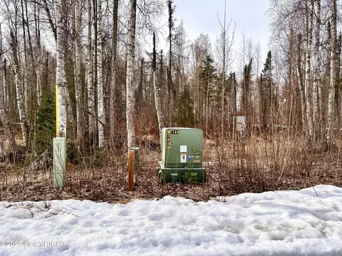 56348 S View Point Dr, Willow, AK 99688 photo 27