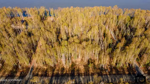 56348 S View Point Dr, Willow, AK 99688 photo 16