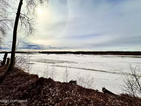 56348 S View Point Dr, Willow, AK 99688 photo 14