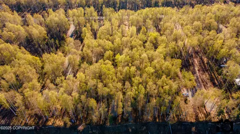 56348 S View Point Dr, Willow, AK 99688 photo 18