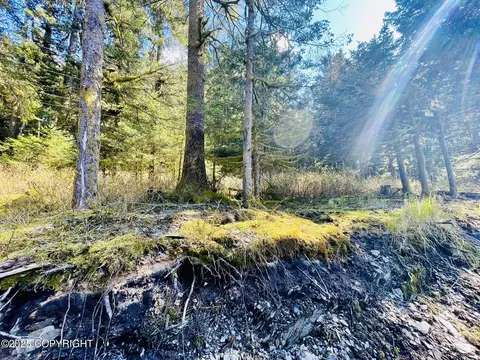 2322 Eagle Dr, Kodiak, AK 99615 photo 4
