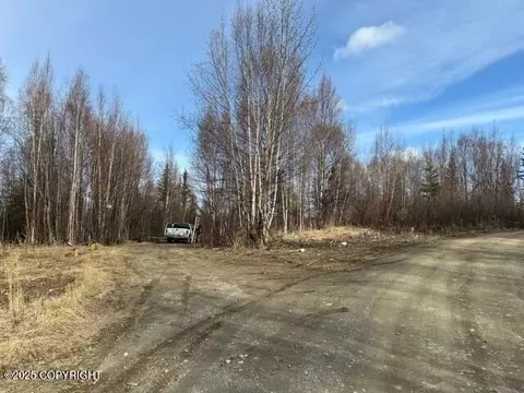 12245 W Zero Lake Rd, Houston, AK 99623
