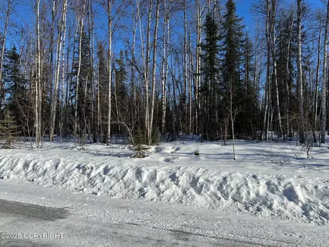25842 W Southlake Dr, Willow, AK 99688