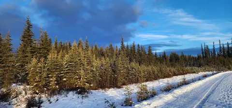 lot27 Meandering Rd, Kenai, AK 99611