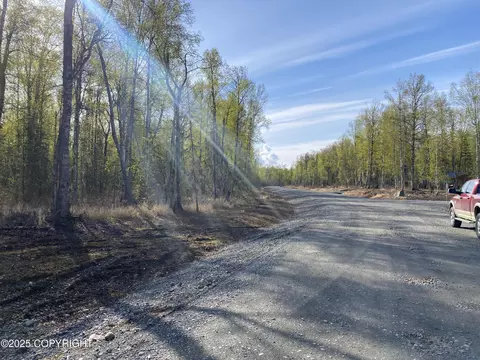 21233 S Morel Cir, Talkeetna, AK 99676