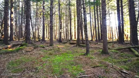 000 Alder Ct, Haines, AK 99827