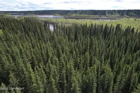 5524 D Tok Cut Off, Slana, AK 99586