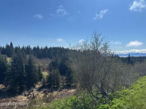 64370 Diamond Ridge Rd, Homer, AK 99603