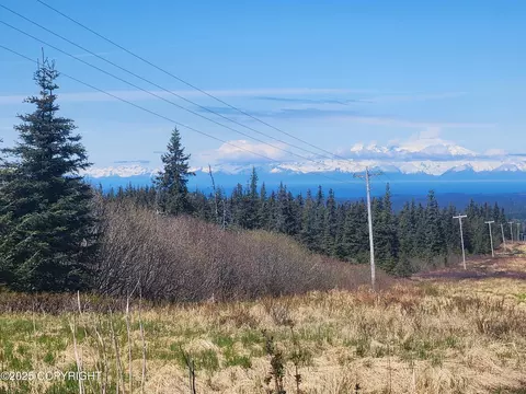 000 Misty Ridge Rd, Homer, AK 99603