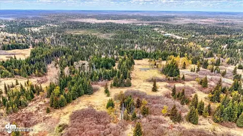 65079 L5 Clyde Thomas Ave, Anchor Point, AK 99556