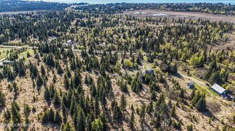 View/Area - 21572 Twilight St, Ninilchik, AK 99639 photo 2 of 4