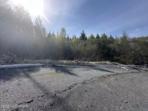 0000 Aurora Lagoon, Remote, AK 99603 photo 24