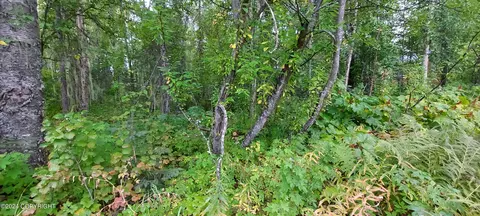 14972 E Powers Rd, Talkeetna, AK 99676