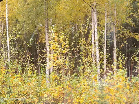 2740 N Gunflint Trl, Wasilla, AK 99623