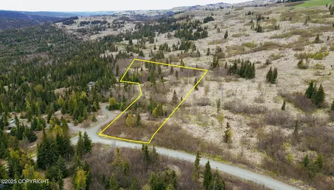 56000 W Benjamin Ave, Homer, AK 99603