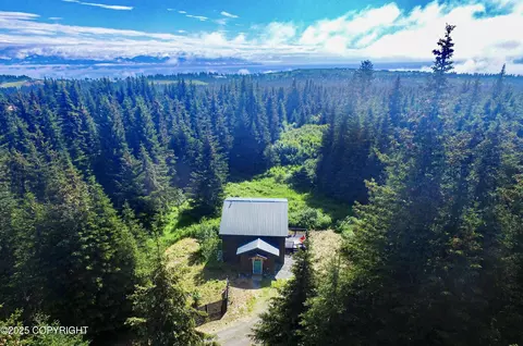 41237 Heather St, Homer, AK 99603