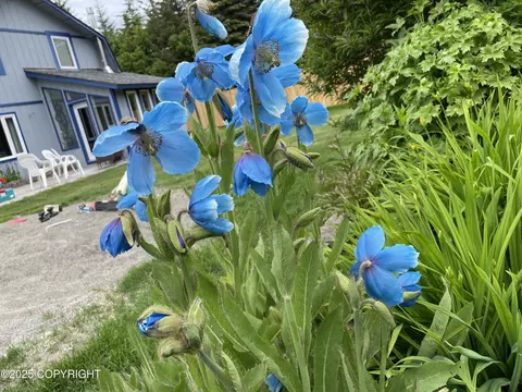 Exterior - 33768 Granross St, Anchor Point, AK 99556 photo 12 of 12