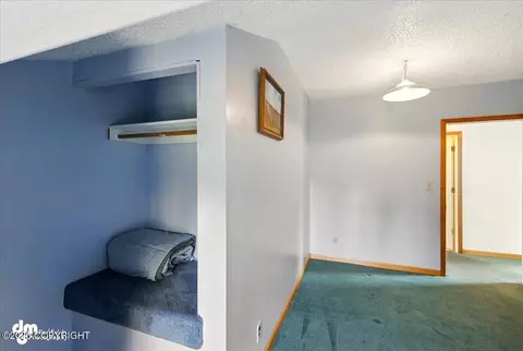 Other - 33768 Granross St, Anchor Point, AK 99556 photo 17 of 21
