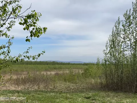 Tr S1 Barley Way, Delta Junction, AK 99737