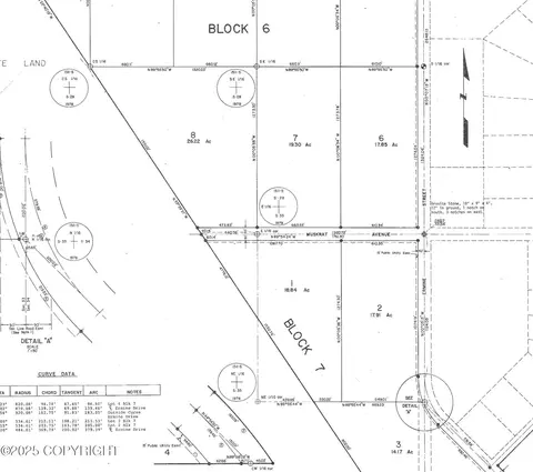 L1 B7 Muskrat Avenue, Copper Center, AK 99573